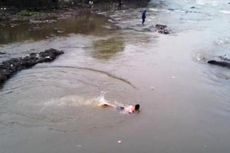 Dekati Ikan Raksasa yang Terdampar di Ciliwung, Warga Harus Berenang