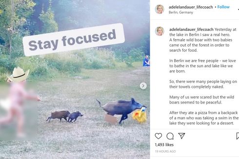 Viral, Foto Turis Telanjang Kejar Babi Hutan yang Curi Laptop-nya