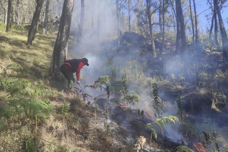 Kebakaran Gunung Arjuno-Welirang Meluas, 334 Hektar Hutan Hangus