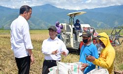 Tinjau Panen Raya, Mentan Pastikan Pemerintah Kawal Stok Pangan Nasional