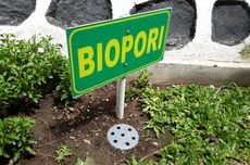 Agar Sisa Makanan Tak Terbuang Percuma, Bikin Kompos dengan Biopori