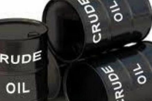 Staf Khusus ESDM Ditunjuk Jadi Gubernur Indonesia untuk OPEC