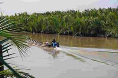 Menteri Lingkungan Hidup Berencana Rehabilitasi 600.000 Hektar Habitat Mangrove