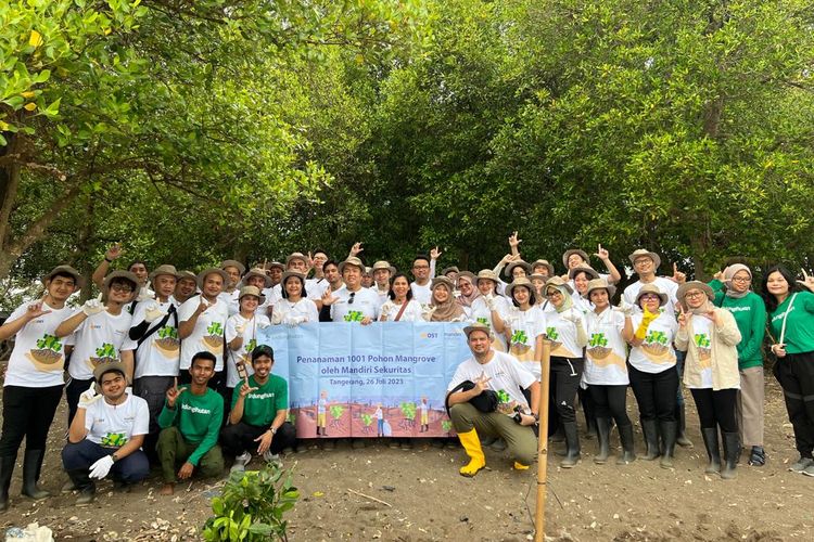 Tim Mandiri Sekuritas menanam pohon Mangrove di desa Sukawali, Tangerang, Rabu, 26 Juli 2023 dalam rangka kontribusi perusahaan kepada kelestarian lingkungan yang berkelanjutan di hari Mangrove sedunia.