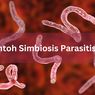 Contoh Simbiosis Parasitisme