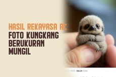 INFOGRAFIK: Foto Kungkang Berukuran Mungil Hasil Rekayasa AI