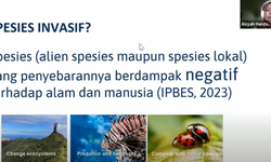 Spesies Asing Invasif Kuasai 50 Persen dari 54 Taman Nasional di Indonesia