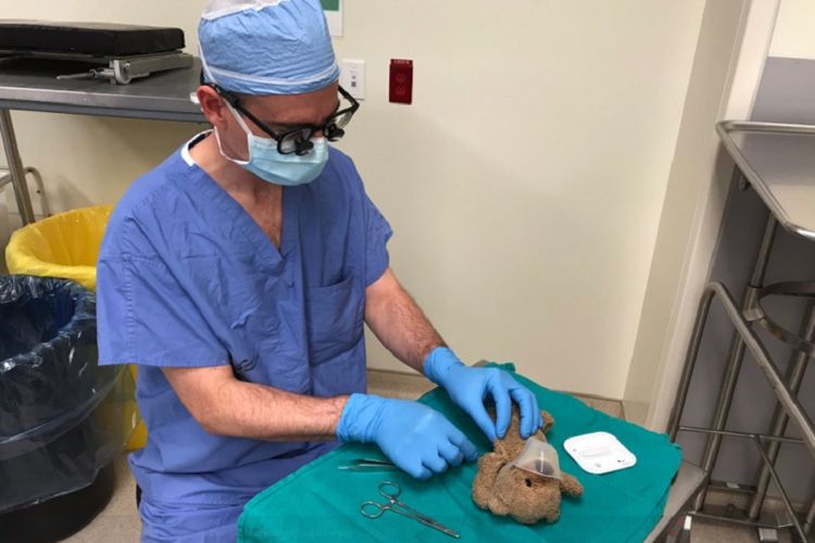 Dokter bedah bernama Daniel McNeely ketika melakukan prosedur operasi kepada sebuah boneka beruang milik pasien penderita hidrosefalus di Nova Scotia, Kanada.