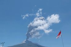 Gunung Lewotobi Laki-laki 4 Kali Meletus, Tinggi Kolom Abu Capai 1 Km