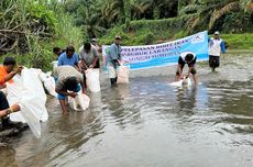 Konservasi Sungai Garoga, Lubuk Larangan Diperluas hingga 8 Kilometer