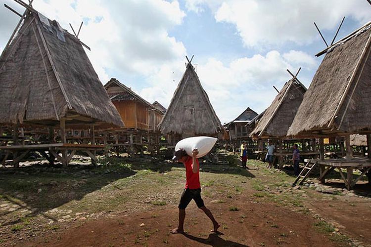 Indra (24) memanggul karung beras yang disebut dalam bahasa setempat Ampa Fare di halaman Uma Lengge di Wawo, Bima, Nusa Tenggara Barat, Jumat (31/3/2017). Uma Lengge yang merupakan lumbung-lumbung padi ini miliki banyak nilai kearifan lokal mulai sistem ketahanan pangan hingga mitigasi bencana bagi warga yang diwariskan sejak ratusan tahun.