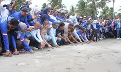 Tingkatkan Kapasitas Penyuluh Perikanan, Kementerian KP Jalin Sinergi dan Kolaborasi dengan Stakeholder