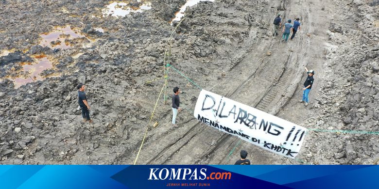 Status 2 Tersangka Tambang Ilegal Hutan Unmul Gugur, Kuasa Hukum: Penangkapannya Tidak Sah