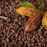 Rendahnya Konsumsi Kakao Indonesia dan Upaya Meningkatkannya
