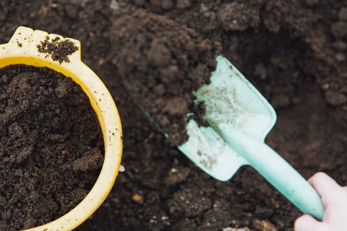 Ilustrasi pupuk organik, pupuk kompos.