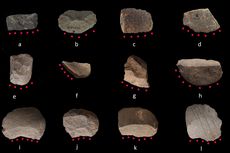 Bukti Awal Panen Padi di China Terungkap dari Temuan Alat Batu Kuno