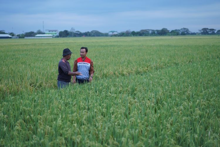 Program DEB di Desa Junti, Kecamatan Juntinyuat, Kabupaten Indramayu.