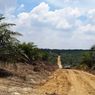 9 Perambah Hutan Lindung di Riau Ditangkap, Mengaku Punya Surat Tanah