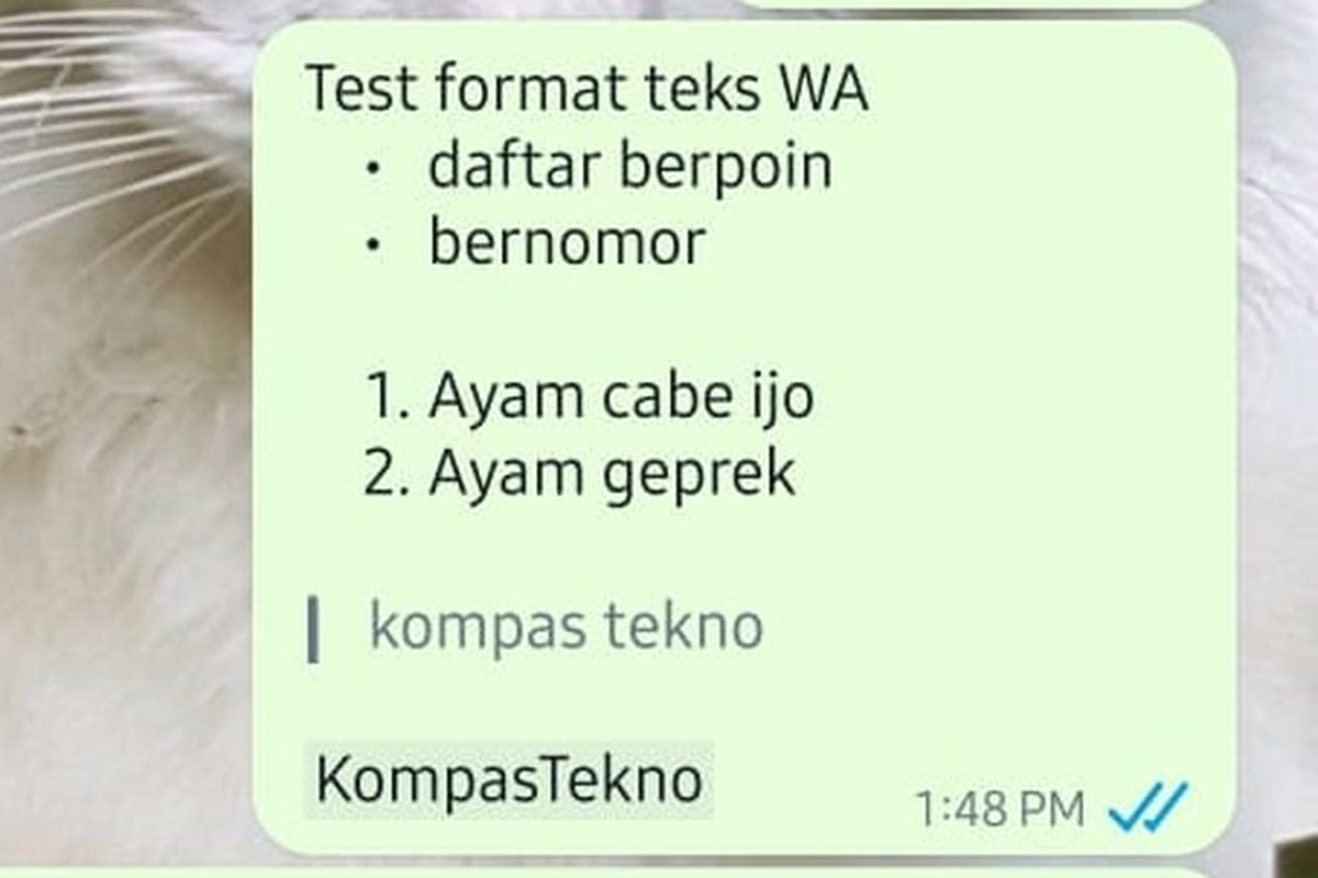 WhatsApp merilis format teks baru, Kamis (22/2/2024). Pengguna kini bisa membuat daftar poin, angka, dan memblok kutipan. 