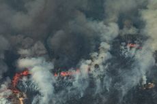Rekor Kebakaran Hutan Baru di Brasil, Amazon dan Pantanal Hangus