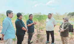 Lewat Exponential Hilirisasi, Kementan Tingkatkan Kualitas dan Daya Saing Kelor