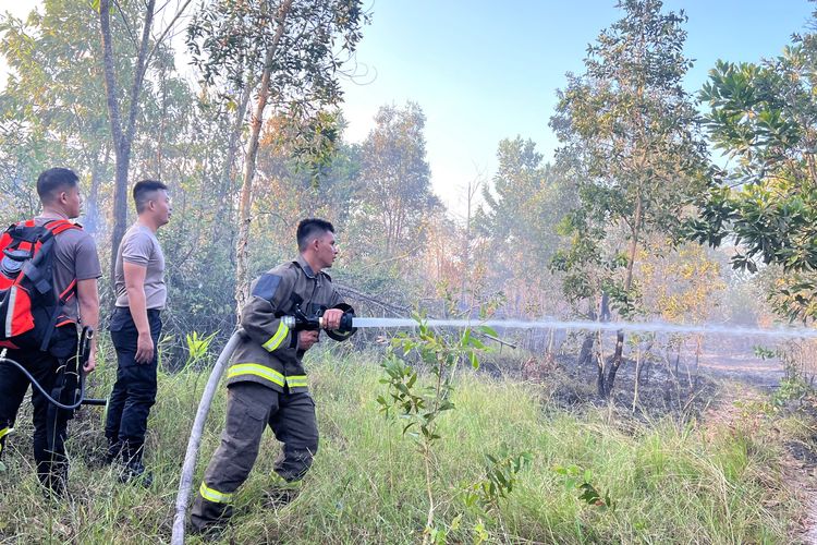 Dipicu Cuaca Panas, 5 Hektar Lahan di Pangkalpinang Ludes Terbakar