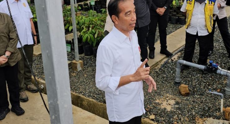 Jokowi Tegaskan Keseriusan Pembangunan IKN sebagai Kota Hijau
