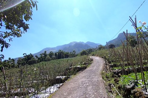 Rute Menuju Basecamp Pendakian Gunung Ungaran via Perantunan