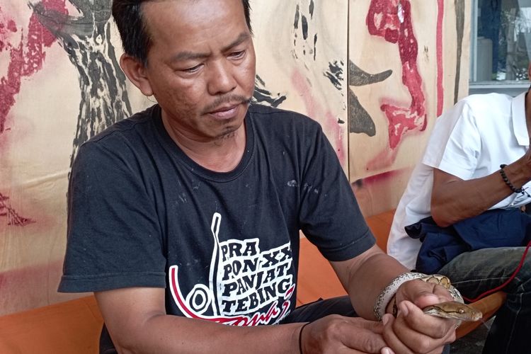 Kanit Rescue Damkar Mamuju Jubair, saat meemperlihatkan salah satu ular sanca yang ditangkap di area permukiman warga di Mamuju, Rabu (21/9/2022).
