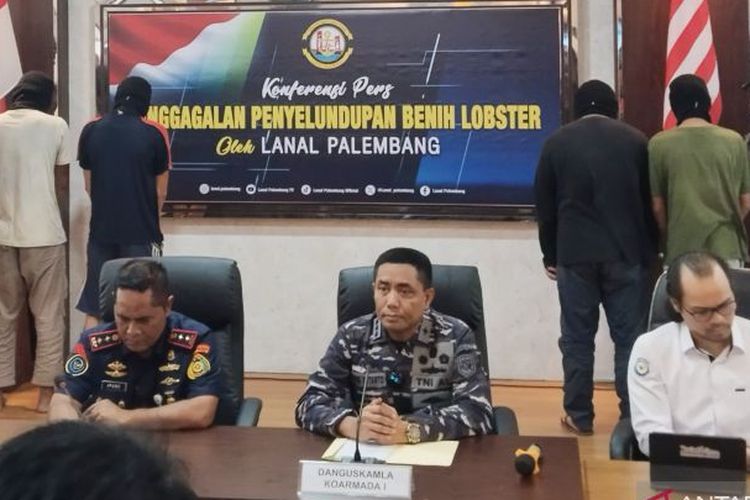 Konferensi pers penyelundupan benih lobster di Lanal Palembang, Sumatera Selatan, Senin (6/5/2024).