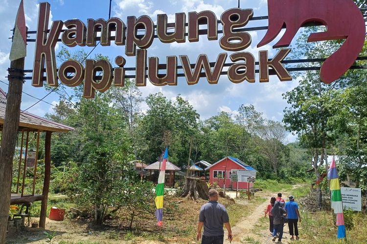 Program Pengembangan Kopi Luwak Kapak Prabu Liberika dimulai oleh DOBU PHKT di desa Prangat Baru pada tahun 2020 dan jadi satu-satunya di Kalimantan Timur.