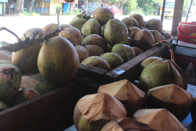 Ilustrasi buah kelapa
