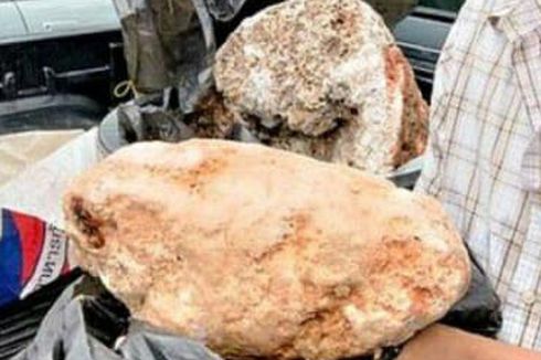 Ambergris Bisa Menguntungkan dan Legal? Ini Kumpulan Faktanya