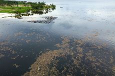 Kecewa UMSK 2026 Tak Kunjung Disahkan, Massa Buruh Majalengka Blokade Jalan Nasional