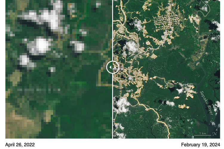 Viral Foto NASA soal Penyusutan Hutan di IKN, Ini Klarifikasi Otorita