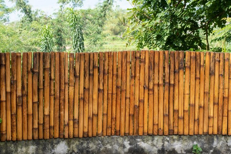 Ilustrasi penggunaan pagar bambu di rumah