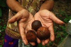 Desa Sibetan, Desa Salak di Karangasem