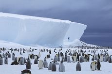 Apakah Mungkin Tinggal di Antartika Sepanjang Tahun?