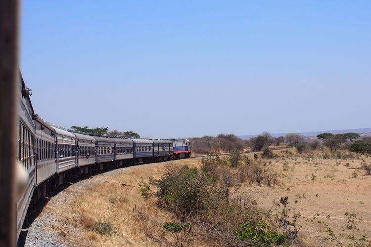 Seeing The African Wilderness From The Train Tazara, Tanzania Zambia