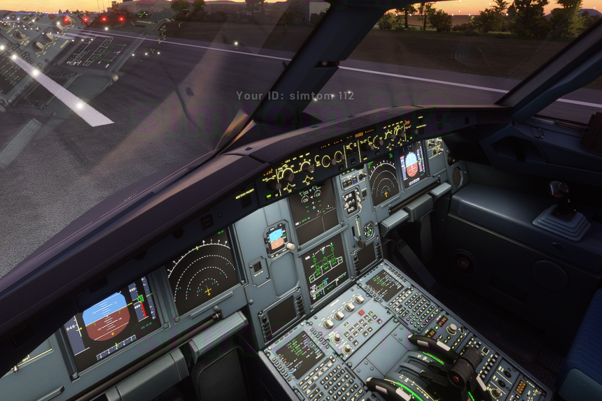 Microsoft Flight Simulator 2020