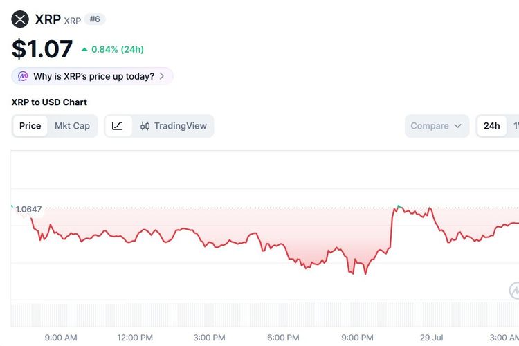 Harga XRP Hari Ini 29 Juli 2026 Naik Ikut Tren Positif Pasar Kripto