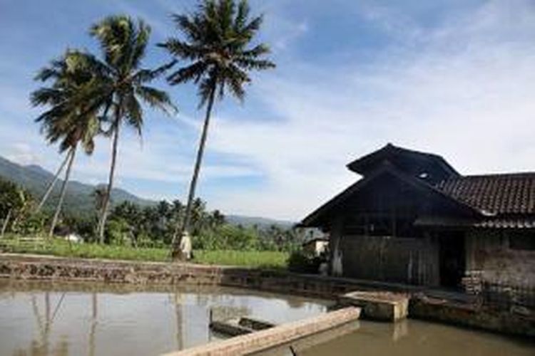 Balong atau kolam ikan menjadi pekarangan rumah warga di Desa Kurnia Bakti, Ciawi, Jawa Barat, Rabu (19/6/2013). Tempat itu juga menjadi bagian dari kehidupan masyarakat Sunda.