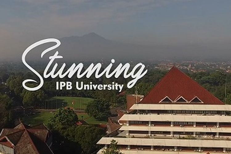 IPB University