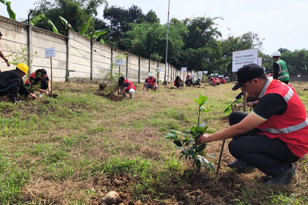 PT FKS Food Sejahtera menggelar kegiatan penanaman pohon langka di Ruang Terbuka Hijau (RTH) Unit 5 Sragen, Jawa Tengah (13/6/2025).