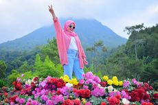 Batu Flower Garden, Malang: Harga Tiket, Jam Buka, dan Daya Tarik