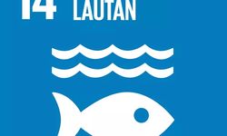 Laporan SDGs 2022: Perlindungan Lautan Masih Hadapi Tantangan Berat