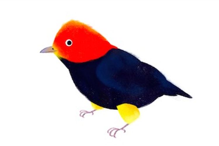 Burung kepala merah hari bumi