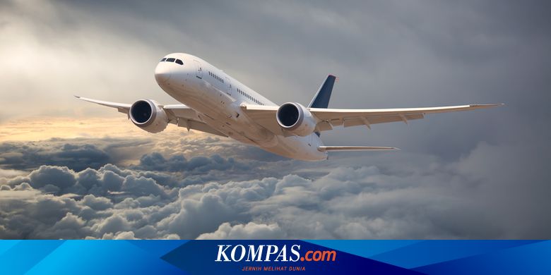 Perjalanan Domestik Jadi Harapan Kebangkitan Industri Penerbangan Dunia - Vimarsana News
