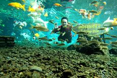 Pemandian Tirtosari Lumajang, Bisa Foto Underwater Bareng Ikan-ikan