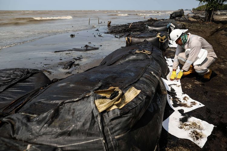 Petugas mengumpulkan limbah tumpahan minyak Oil Spill yang tercecer milik Pertamina di Pesisir Pantai Cemarajaya, Karawang, Jawa Barat, Minggu (4/8/2019). Pasir yang tercemar minyak tersebut dikumpulkan dan akan dipindahkan ke pabrik penyimpanan limbah B3 (Bahan Berbahaya dan Beracun) untuk dimusnahkan.